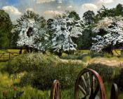 斯坦利 斯宾塞 : Marsh Meadows - Cookham